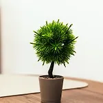 Urban Aristotelous Apartament *