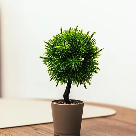 Urban Aristotelous Апартаменты *